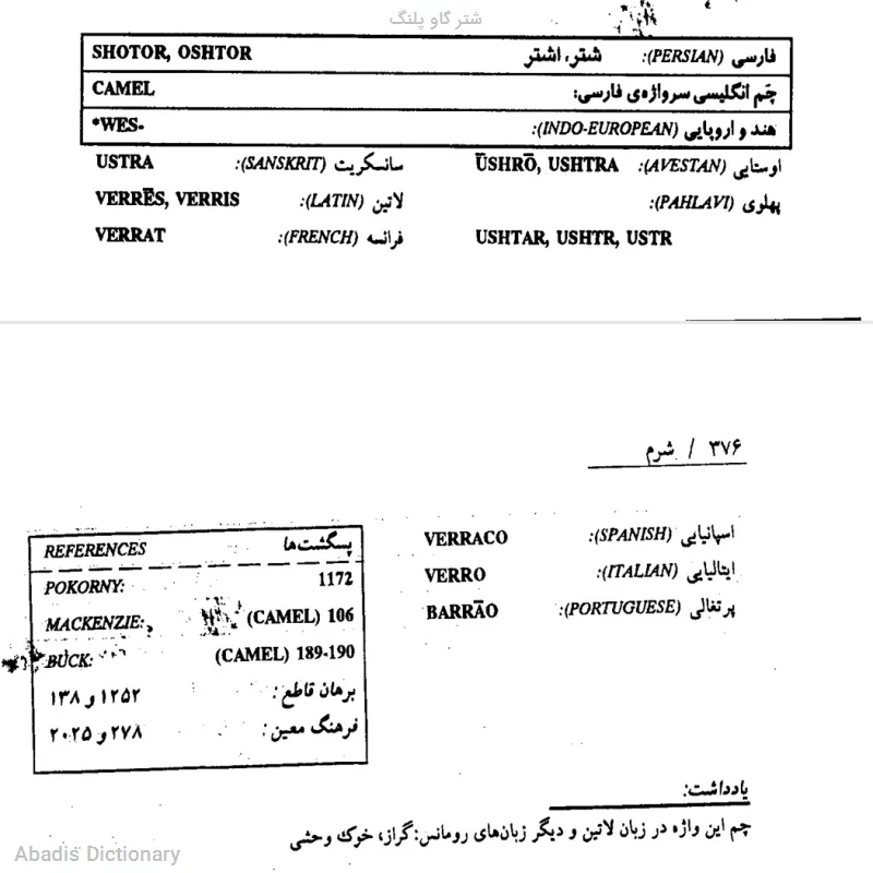شتر گاو پلنگ